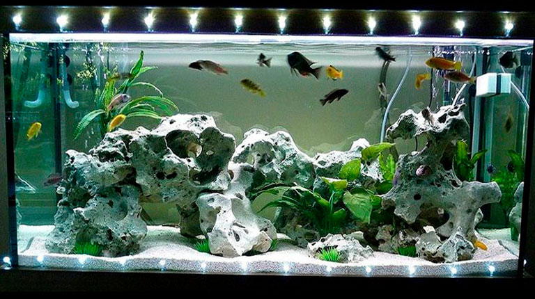 Освещение аквариума светодиодной лентой